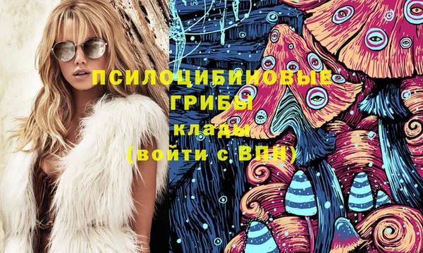 ГАЛЛЮЦИНОГЕННЫЕ ГРИБЫ Тавда