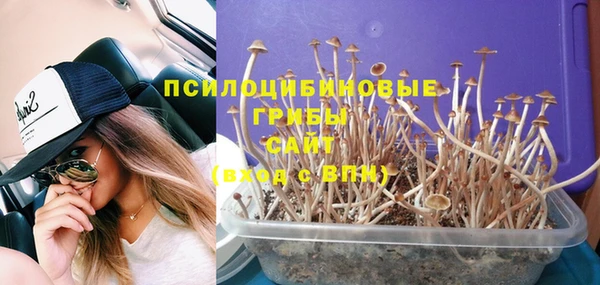 ГАЛЛЮЦИНОГЕННЫЕ ГРИБЫ Тавда