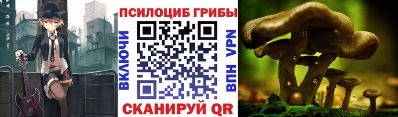 Галлюциногенные грибы Magic Shrooms Стерлитамак