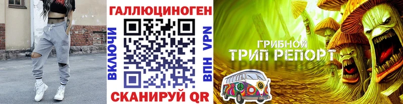 Галлюциногенные грибы мухоморы  Купить  Стерлитамак 